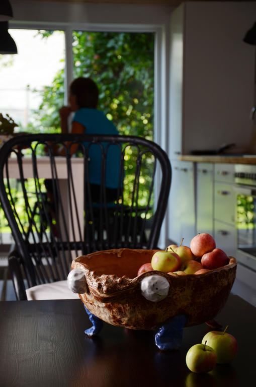 Saka Vacation House Druskieniki Zewnętrze zdjęcie